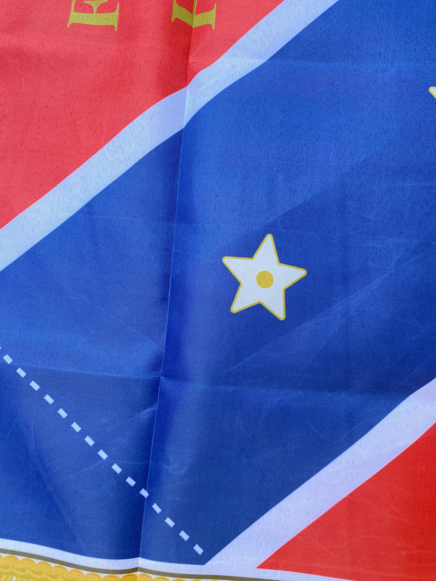 16th North Carolina Troops House Flag