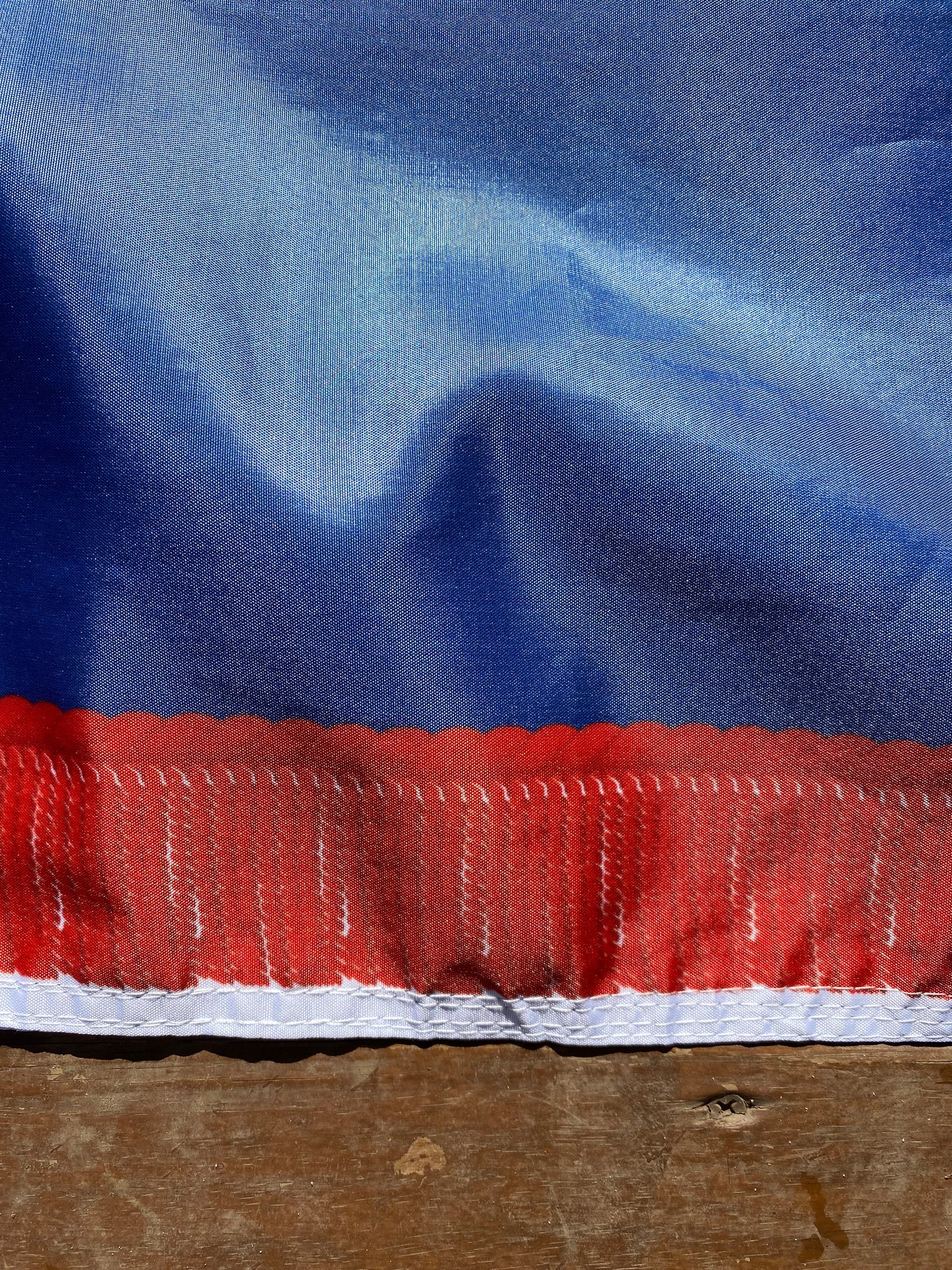 Gregg's 1st South Carolina - Richland Volunteer's Flag