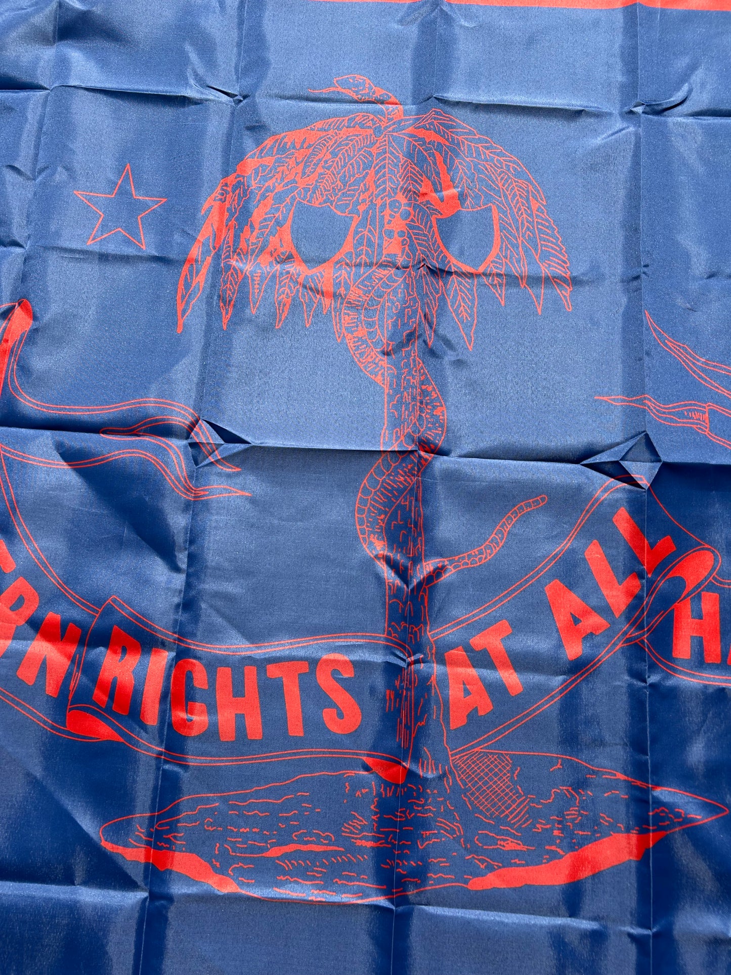 "Southern Rights" Columbia Flag