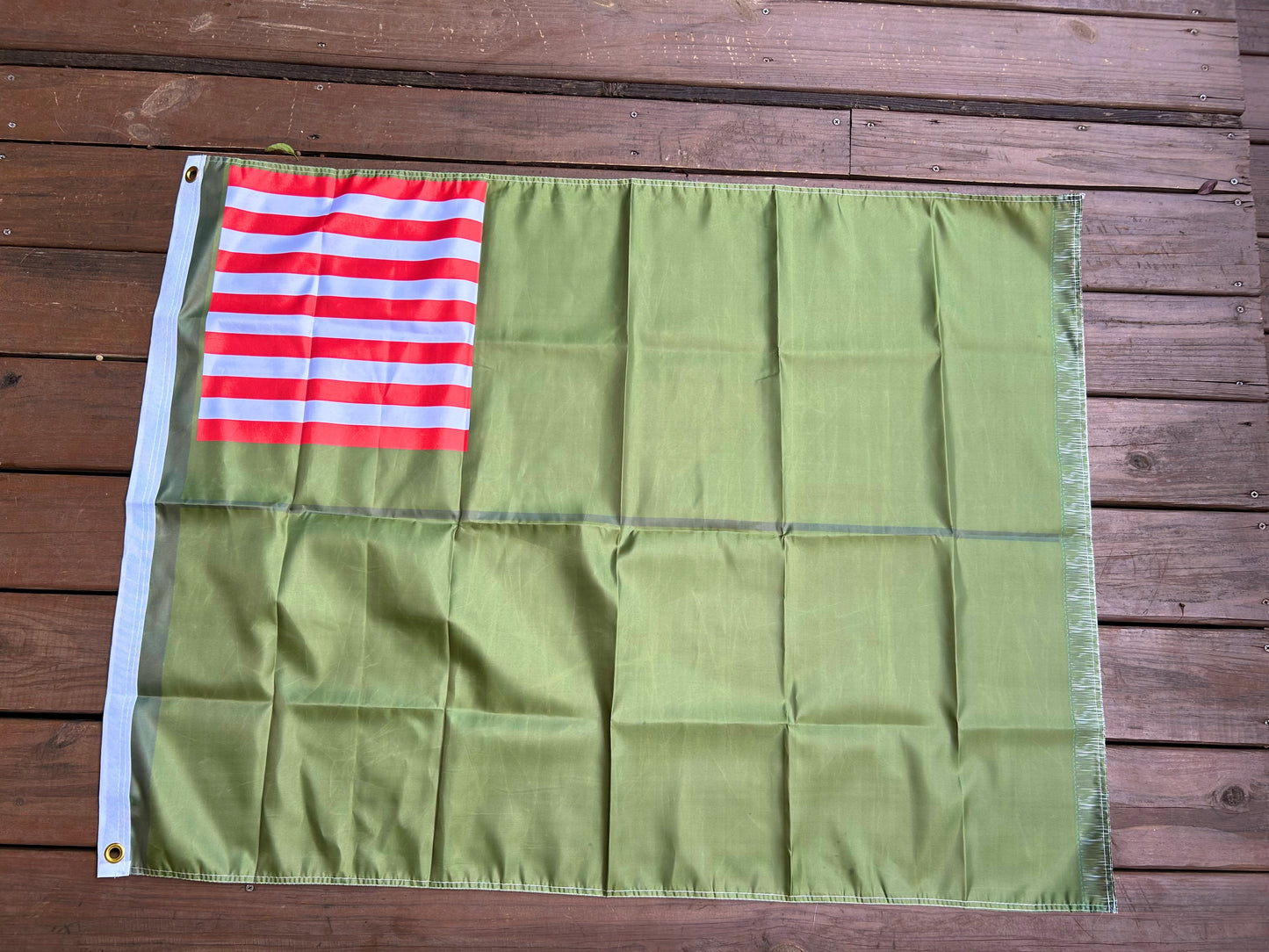 Delaware Militia Flag