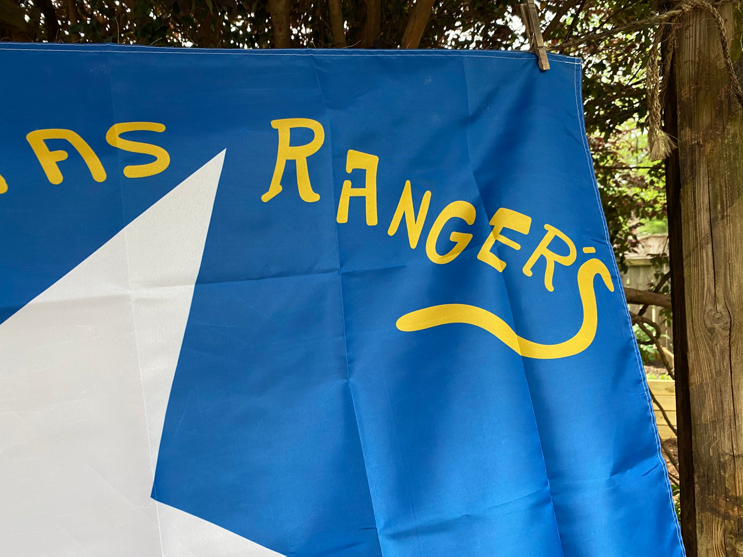 Terry's Texas Rangers - 8th Texas Cavalry - Flag House Flag