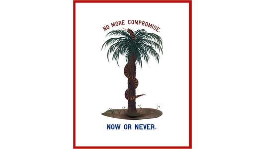 "No More Compromise" Charleston Secession Flag