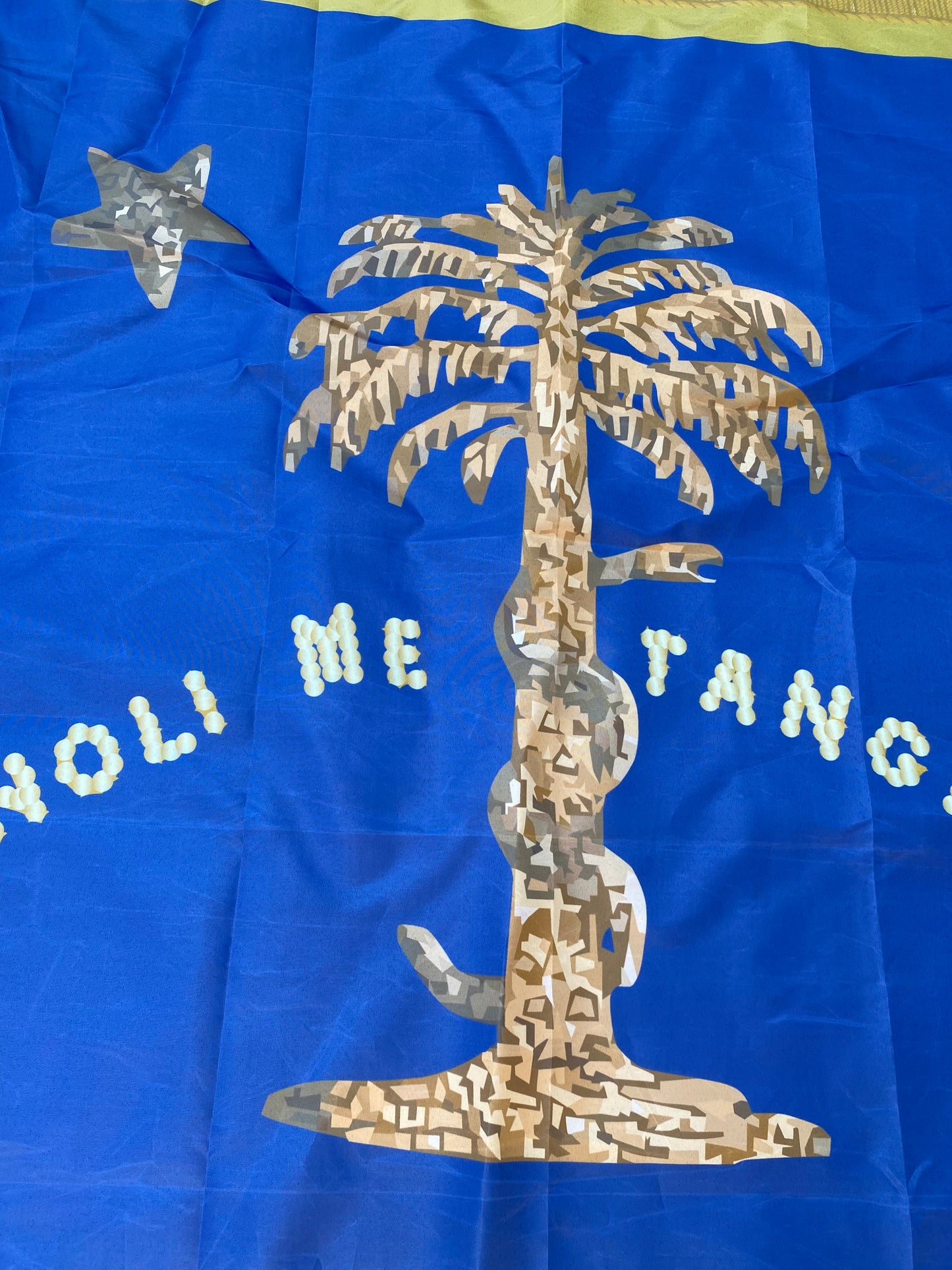 "NOLI ME TANGERE" South Carolina Palmetto Defender Flag