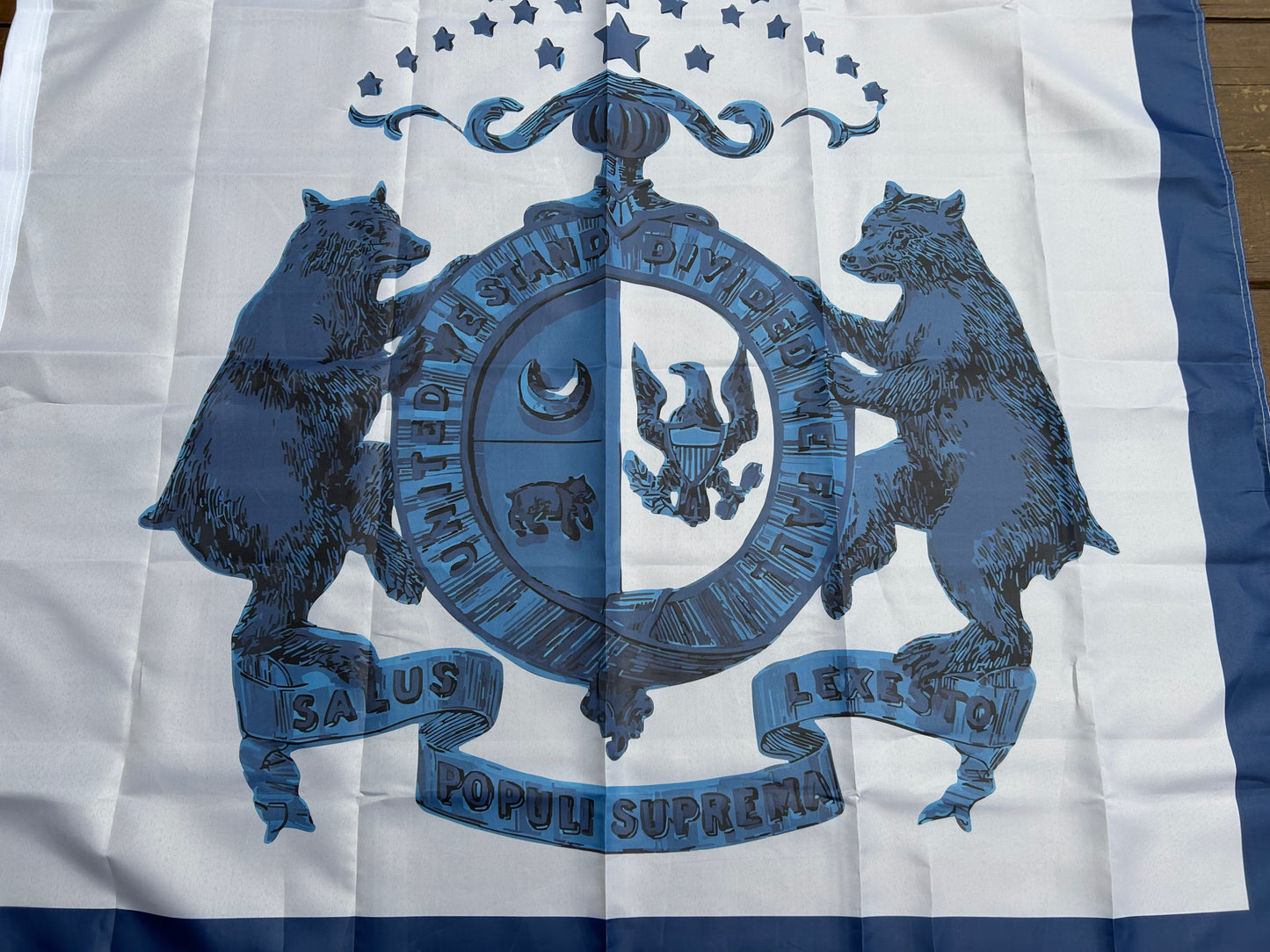 Saline Jackson Guards - Missouri State Guard Regimental Flags