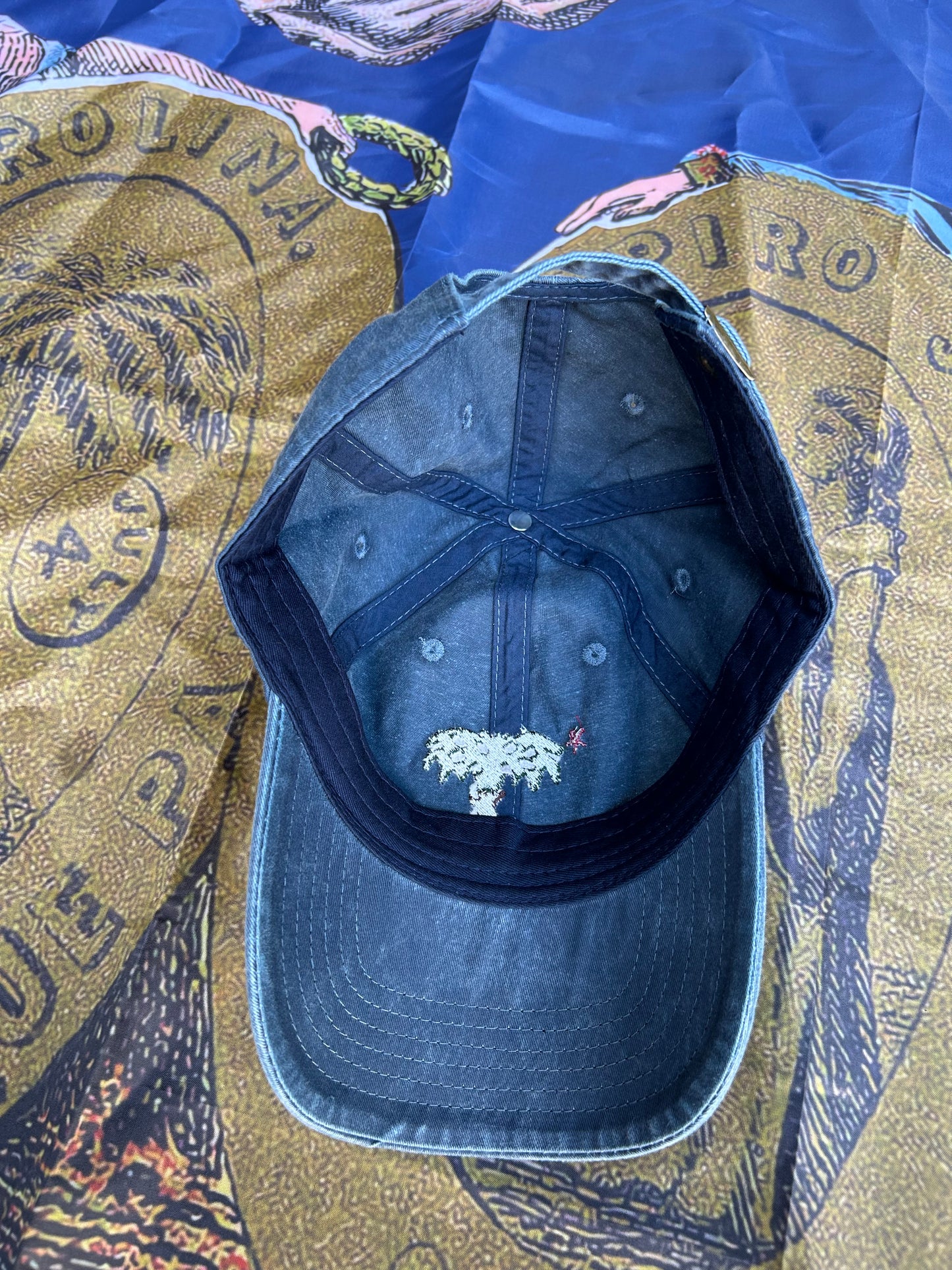 Palmetto Guards Cap