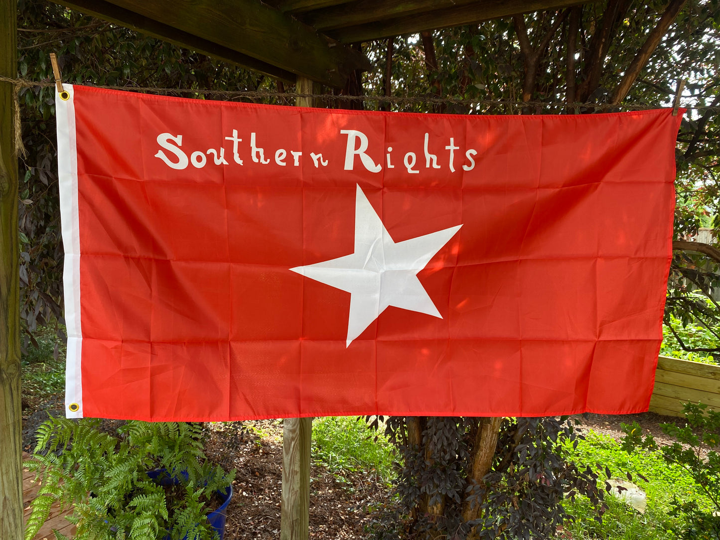 "Southern Rights" - South Carolina Palmetto Guard - Bleeding Kansas Flag