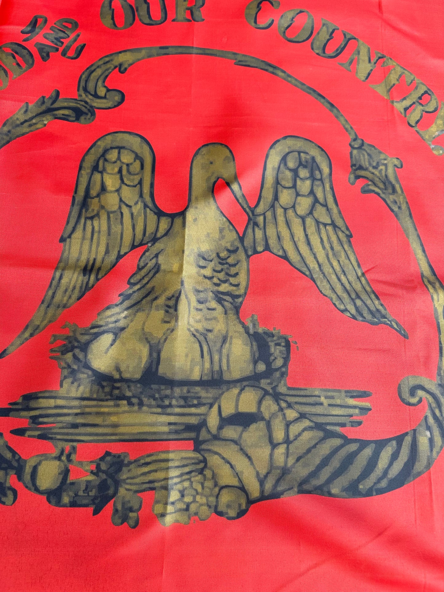 Lake Providence Cadets - 4th Louisiana Infantry Flag