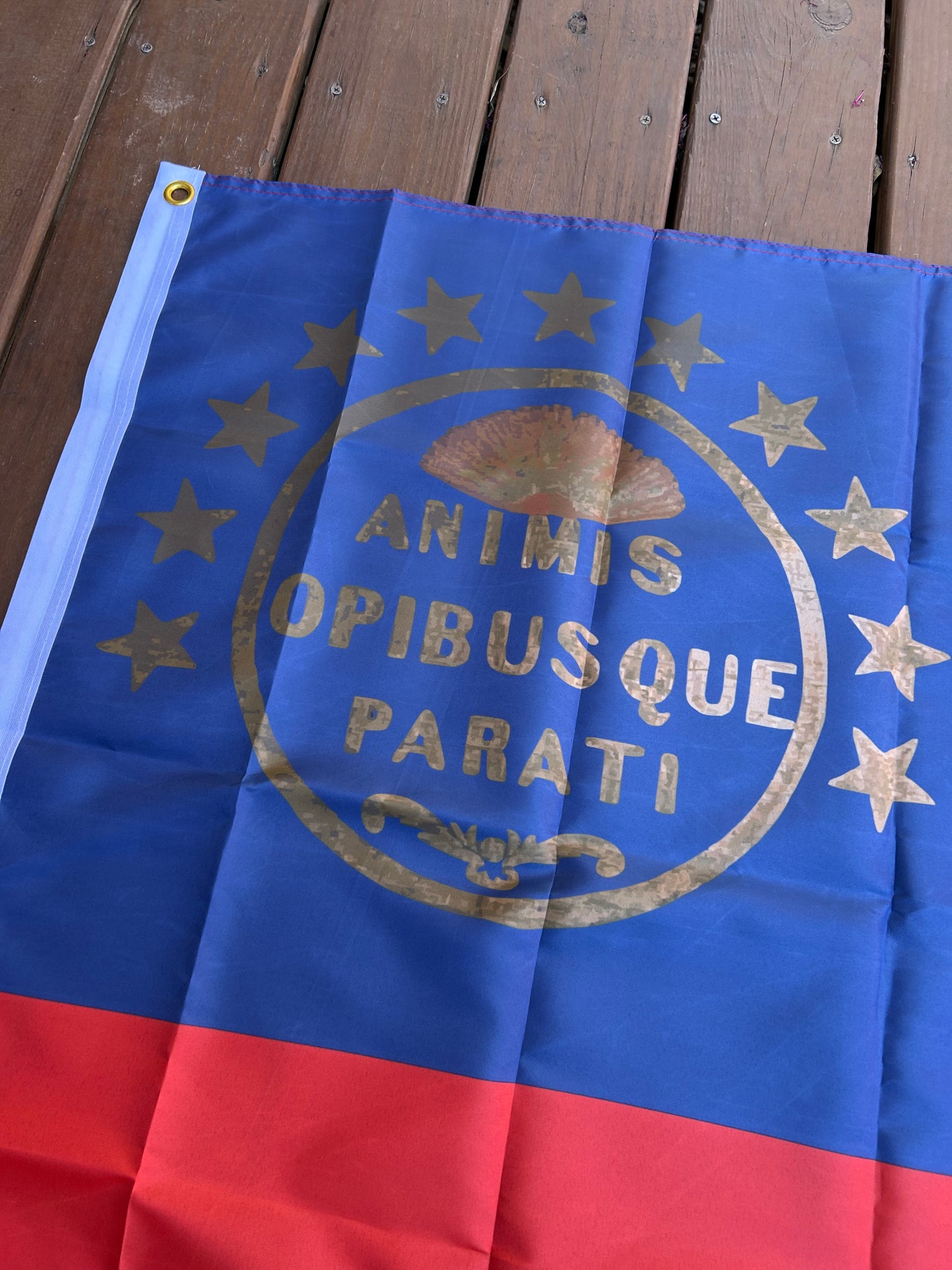"ANIMIS OPIBUSQUE PARATI" South Carolina First National House Flag