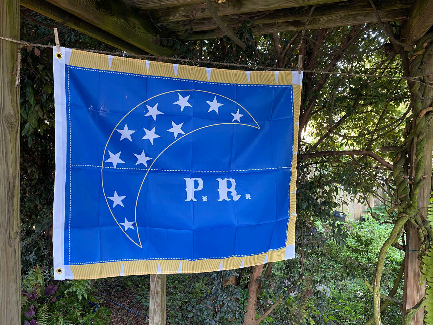 4th North Carolina Company Flag - Pamlico Rifles House Flag