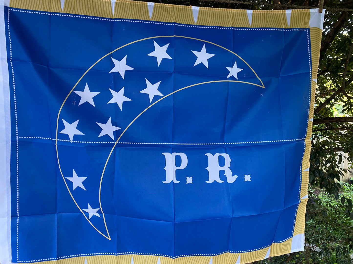 4th North Carolina Company Flag - Pamlico Rifles House Flag