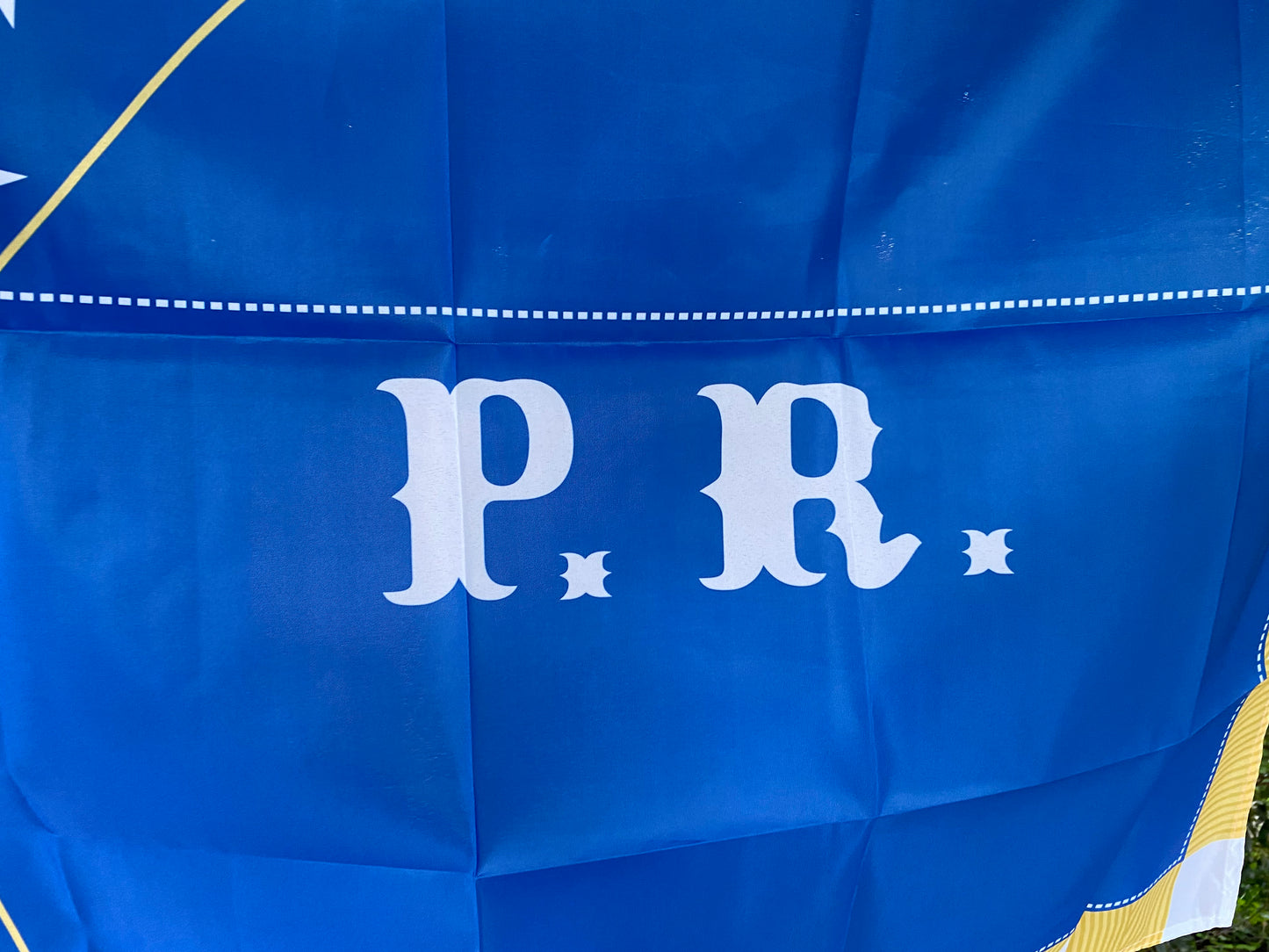 4th North Carolina Company Flag - Pamlico Rifles House Flag