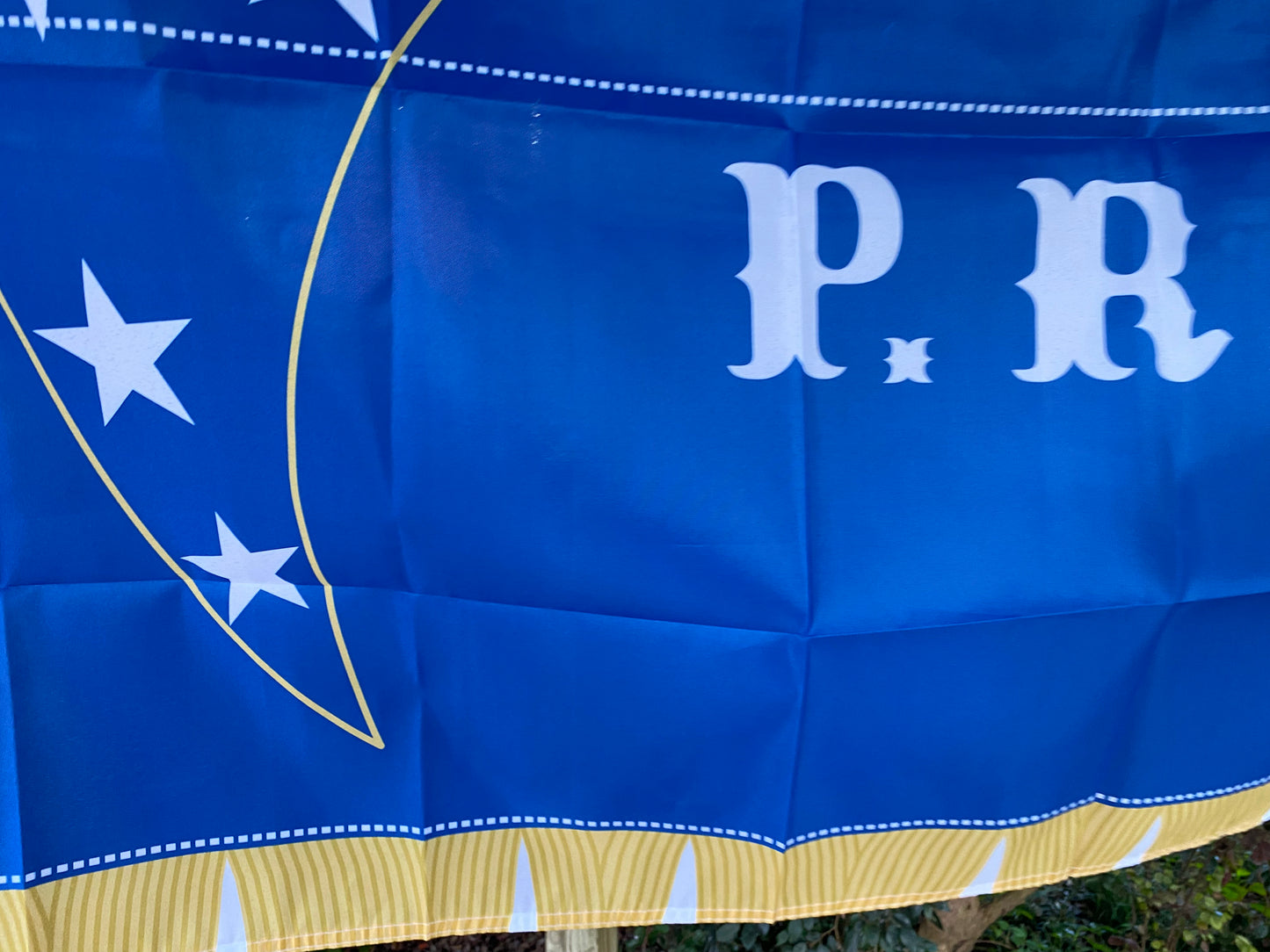 4th North Carolina Company Flag - Pamlico Rifles House Flag