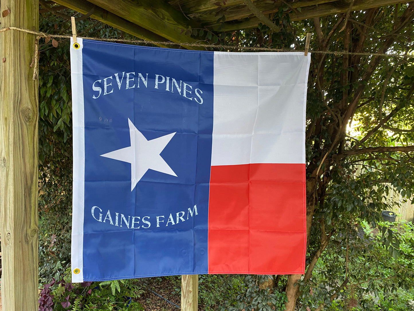 1st Texas Infantry House Flag