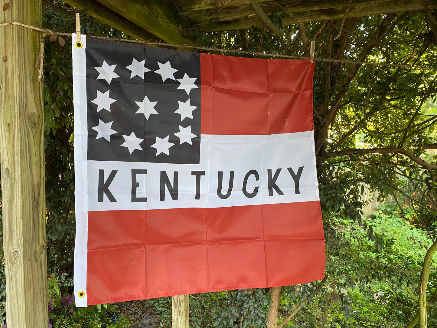 Blackburn Guards - Lee's Kentuckians House Flag