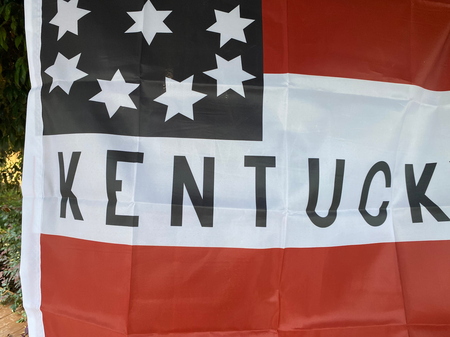 Blackburn Guards - Lee's Kentuckians House Flag