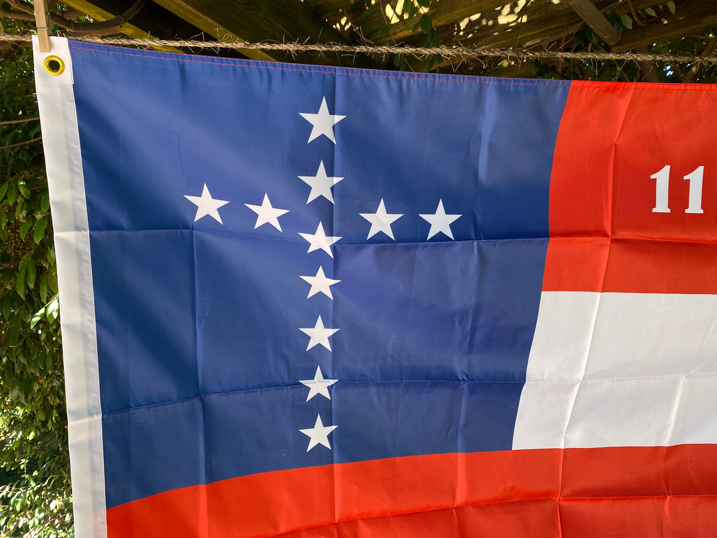 11th Mississippi First National House Flag