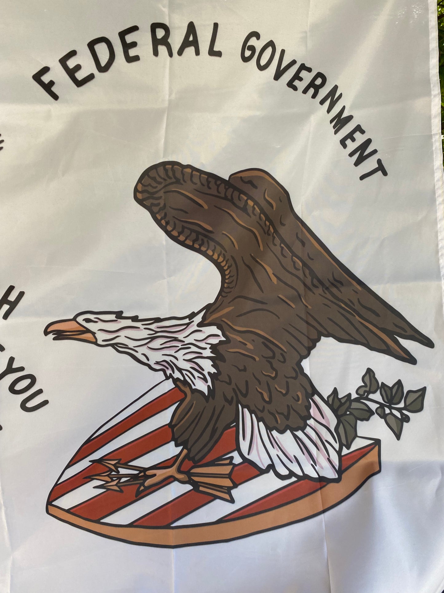 "Touch her if you dare" 1860 Georgia Secession Banner House Flag