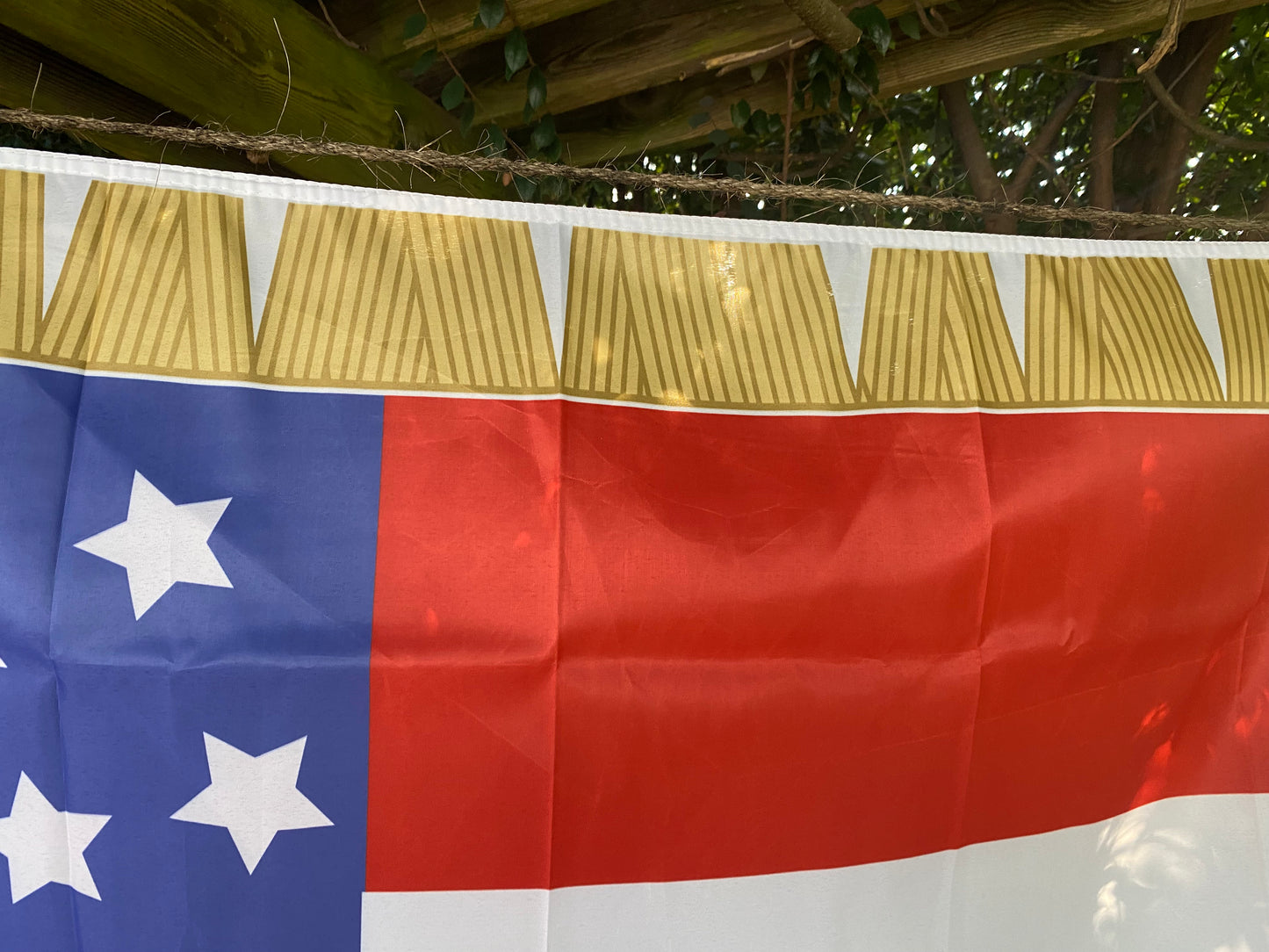 "The South and, Jeff Davis Forever" 1st Louisiana Cavalry 1st National House Flag