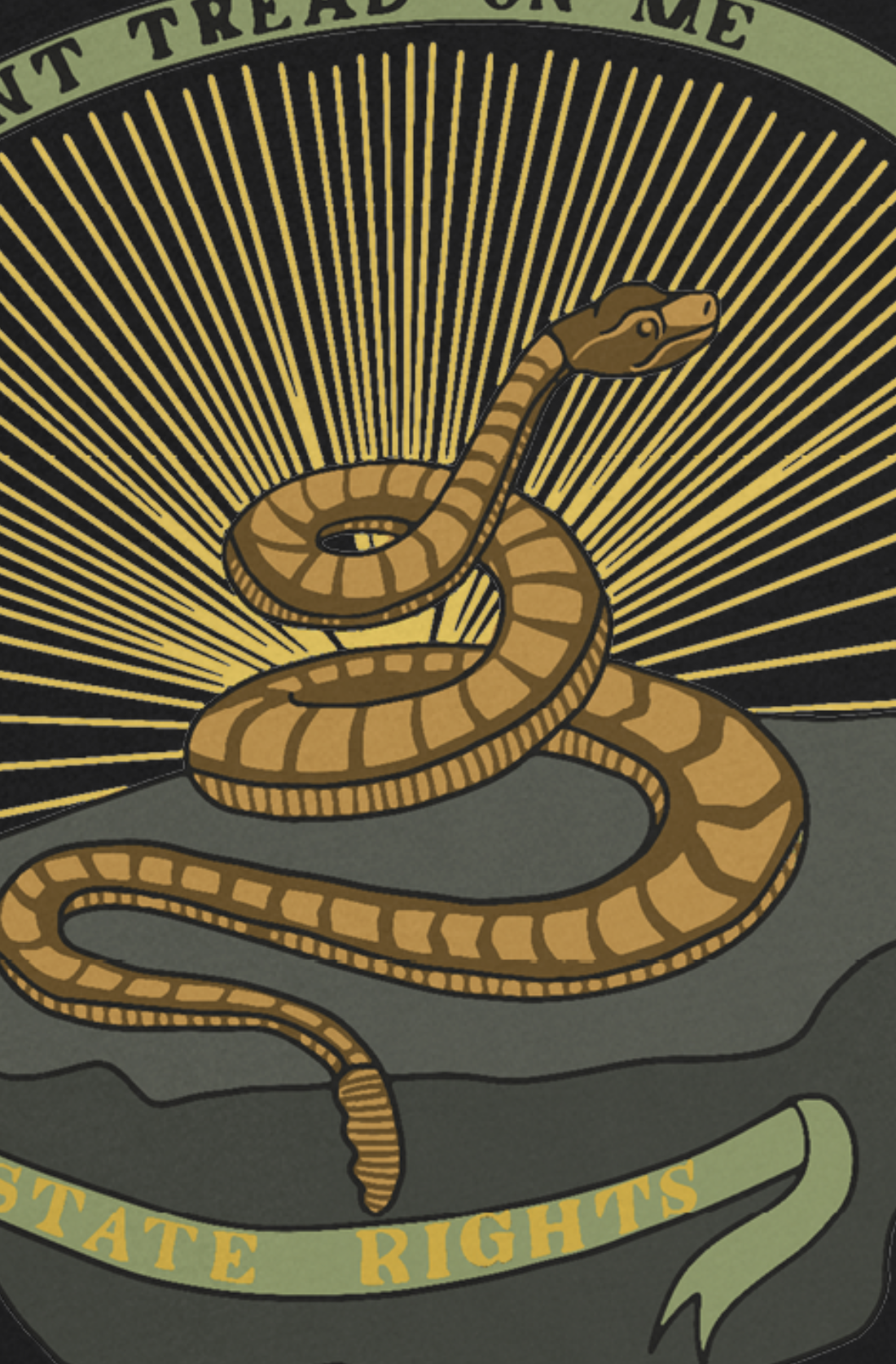 "State Rights - Don't Tread on Me" Georgia Secession Flag Shirt