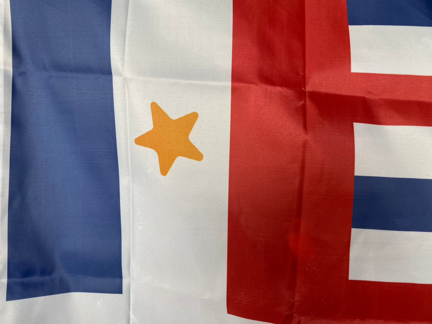 "French Legion" Variant of the Republic of Louisiana House Flag