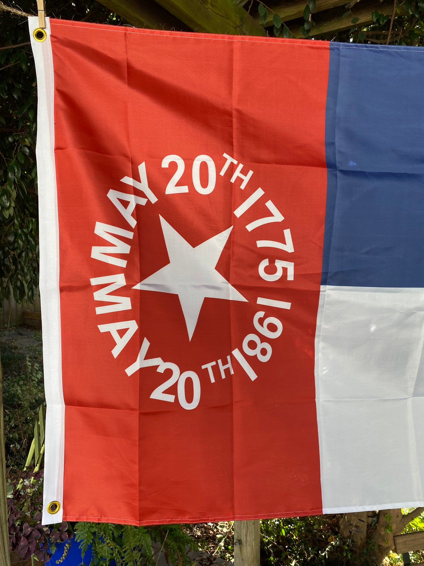 Governor John Ellis Secession House Flag