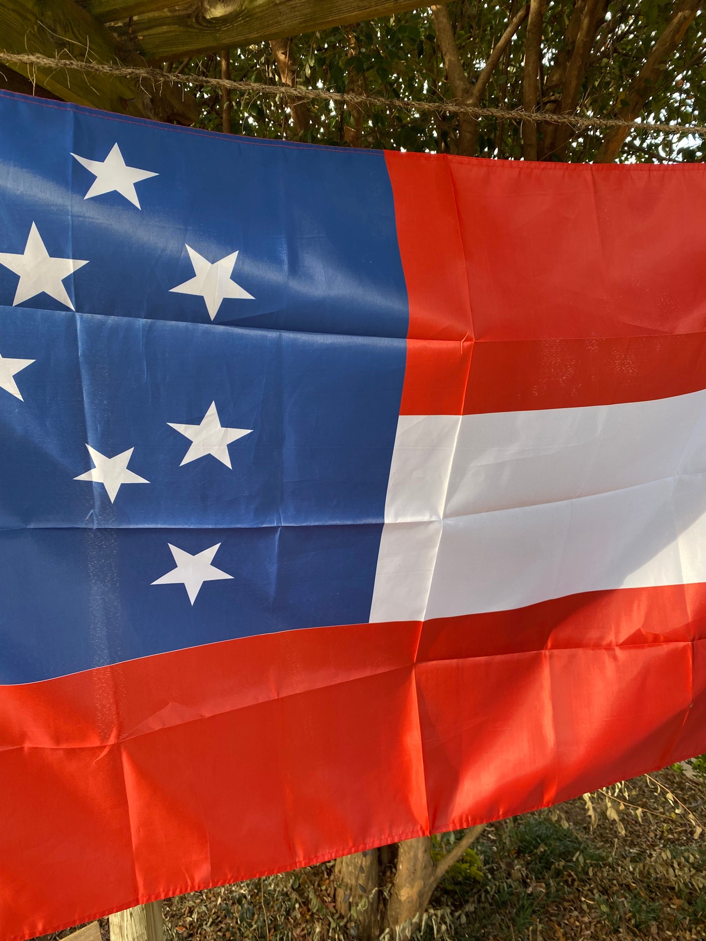 Beaufort District - Company C - Hampton's Legion Flag