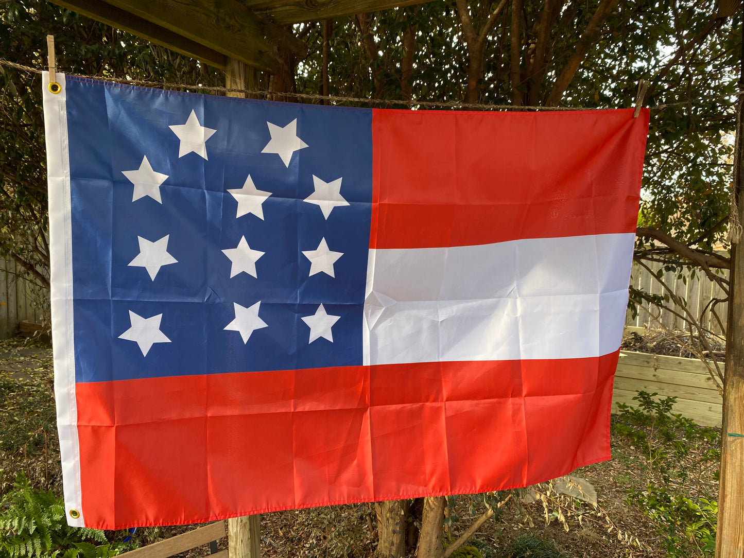 Hampton's Legion First National Flag - November 1861 House Flag