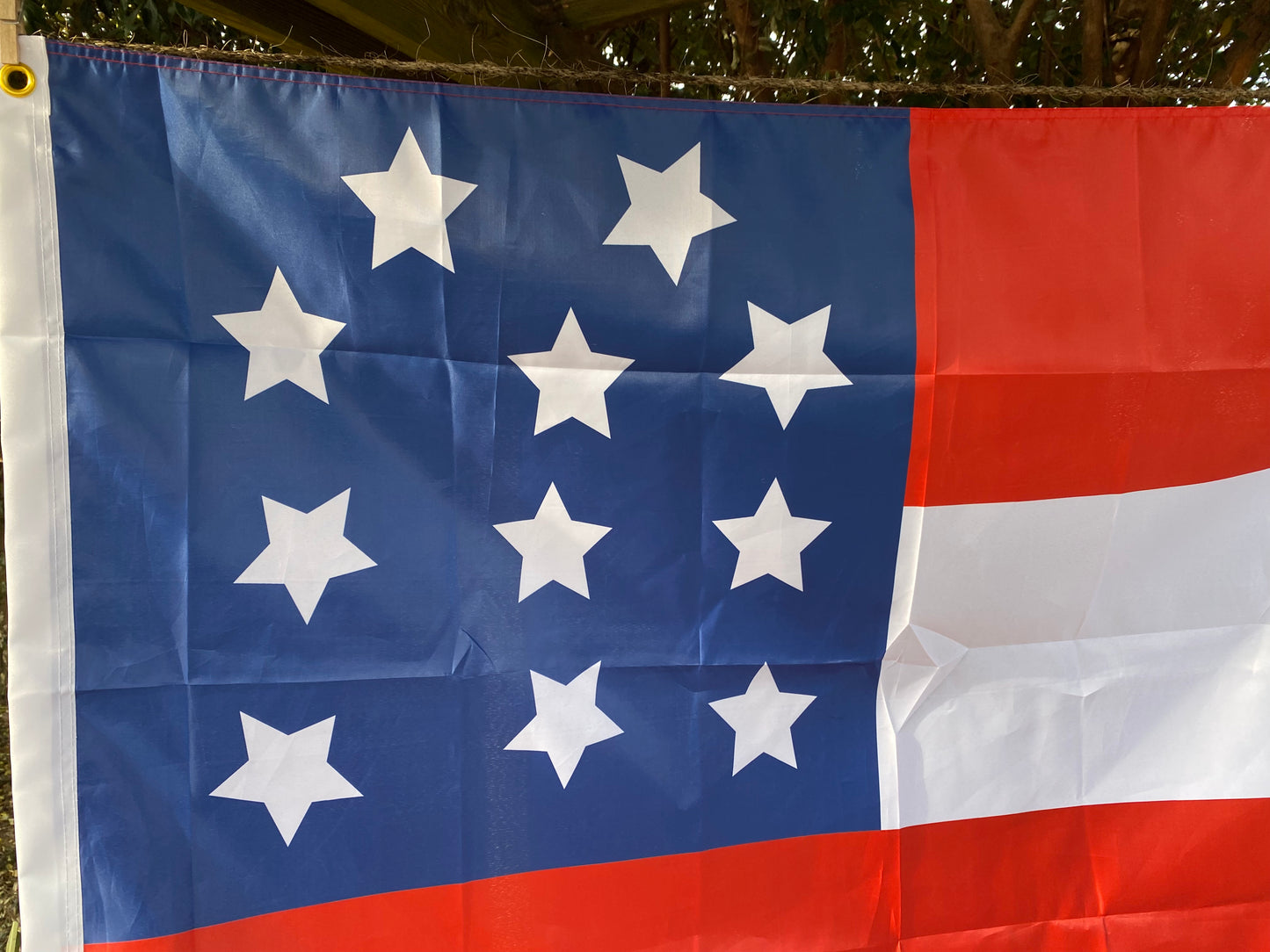 Hampton's Legion First National Flag - November 1861 House Flag