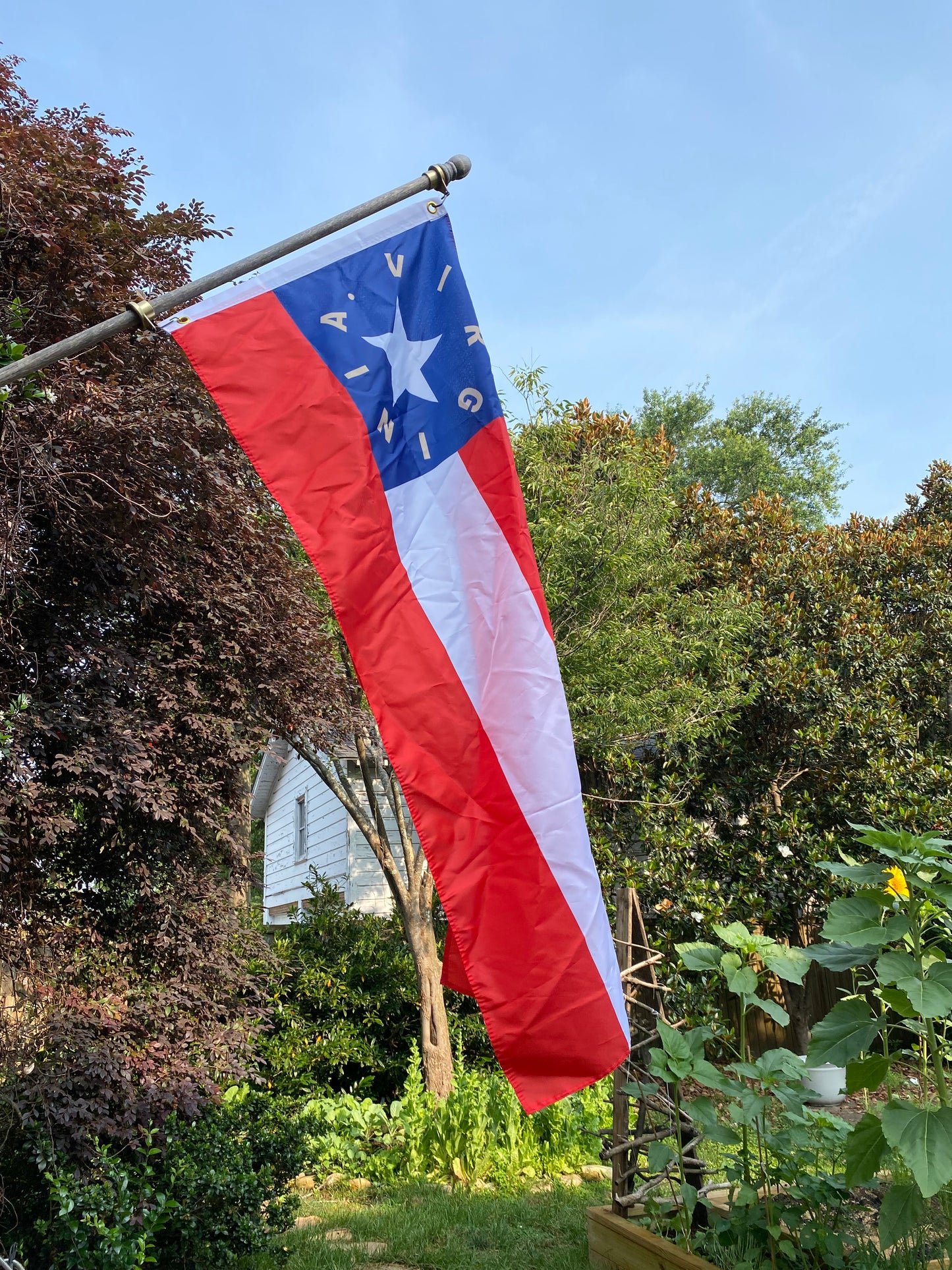 25th Virginia Infantry House Flag
