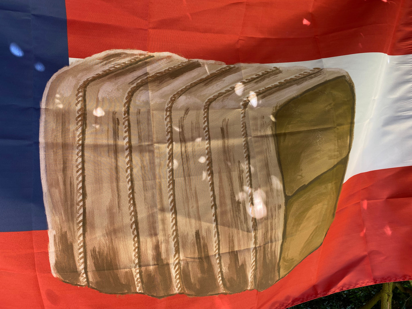 4th Alabama House Flag