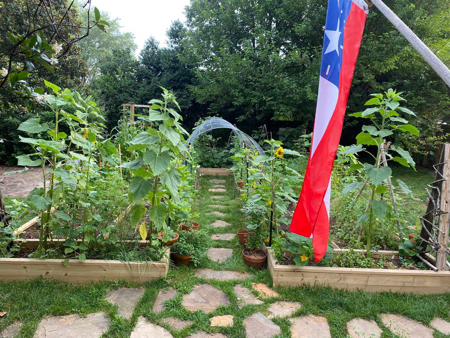 25th Virginia Infantry House Flag