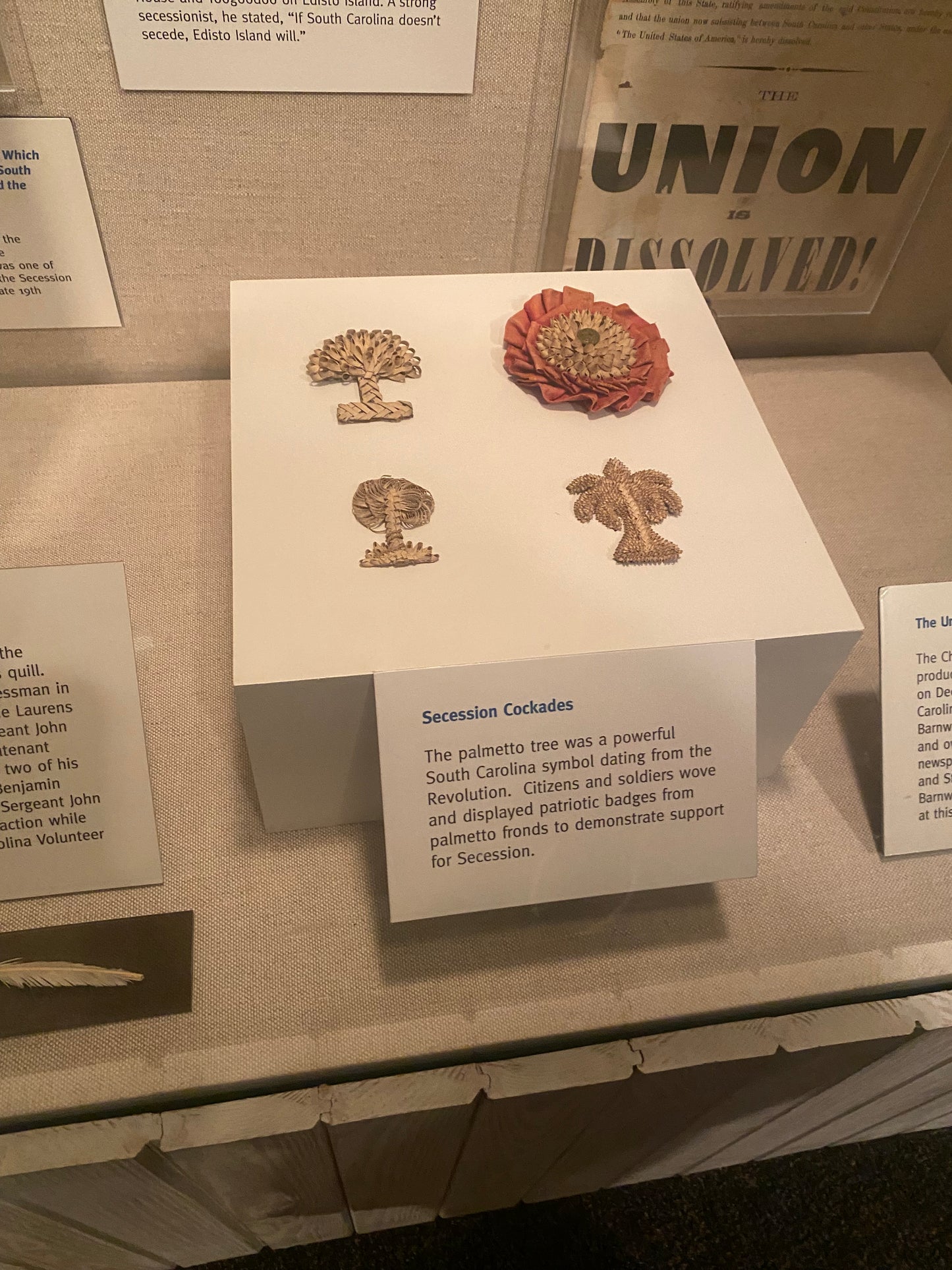 Secession Cockade - Palmetto Shirt