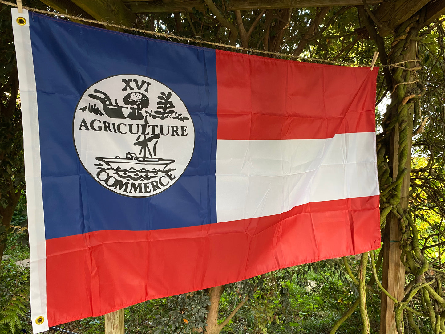 Tennessee Secessionist House Flag