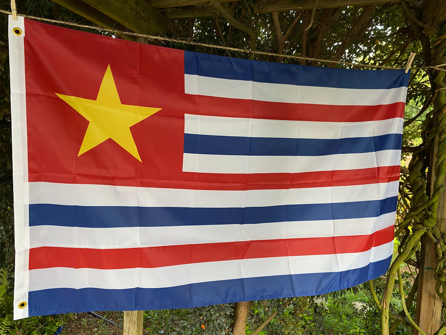 Republic of Louisiana House Flag