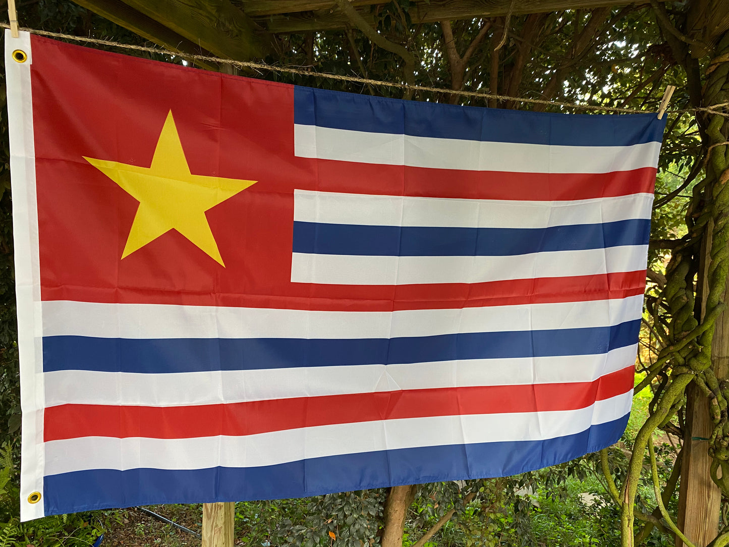 Republic of Louisiana House Flag