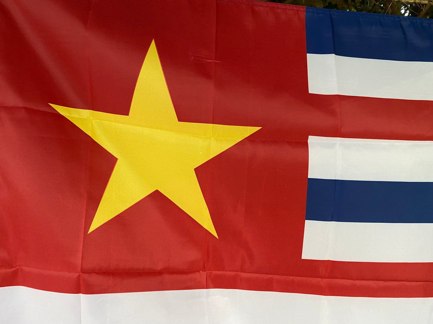 Republic of Louisiana House Flag