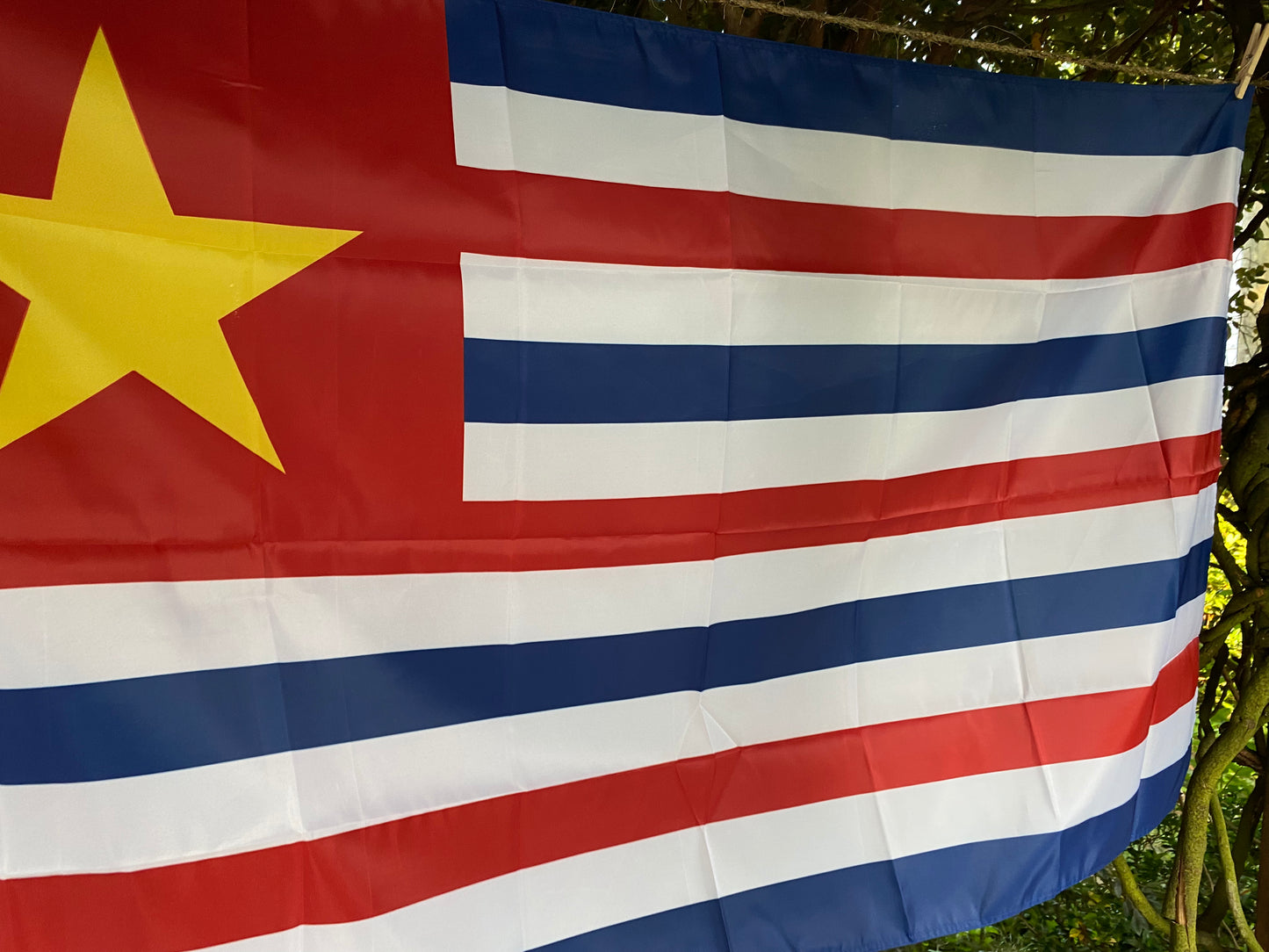 Republic of Louisiana House Flag