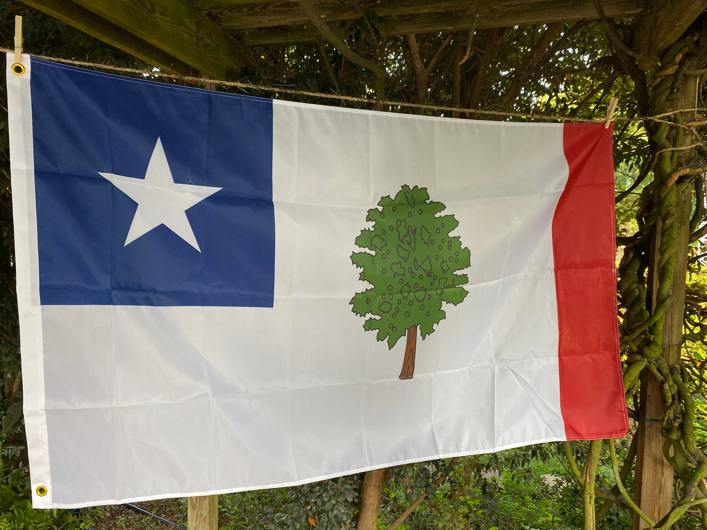 Republic of Mississippi House Flag