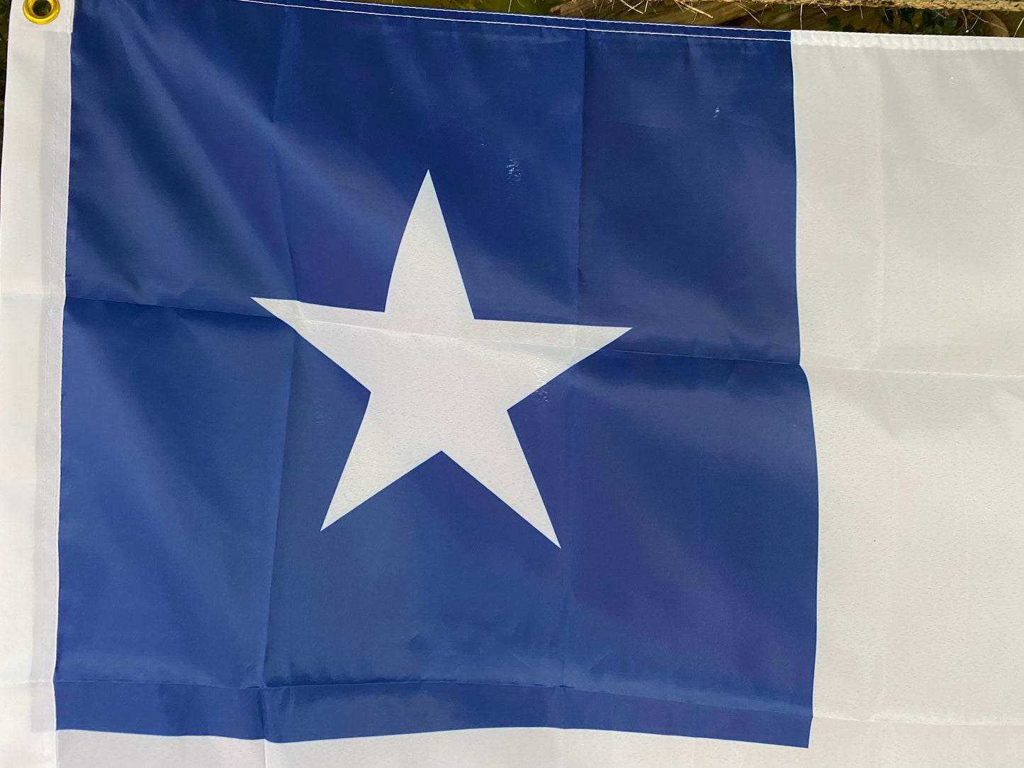 Republic of Mississippi House Flag