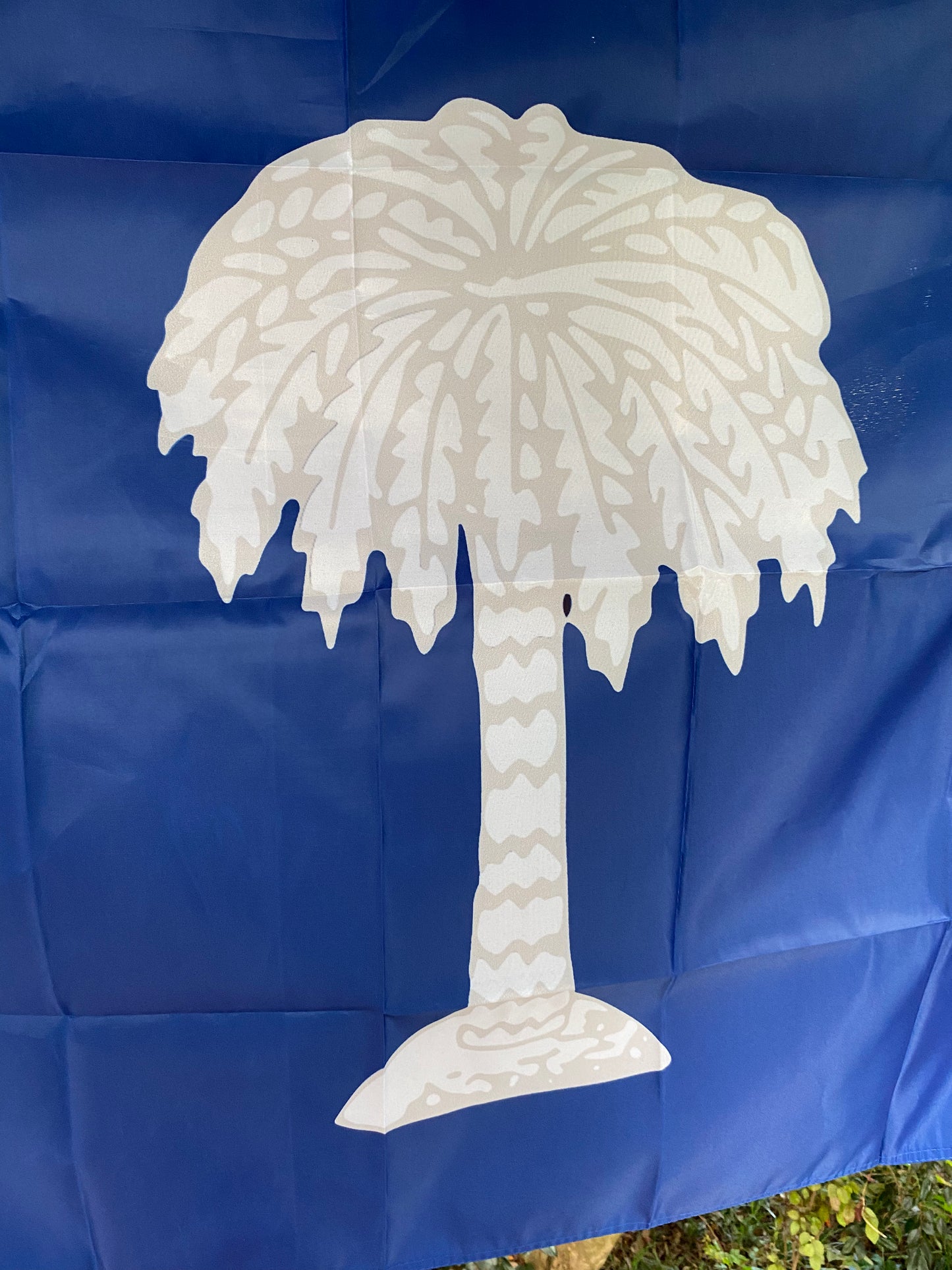 South Carolina "Palmetto Republic" House Flag