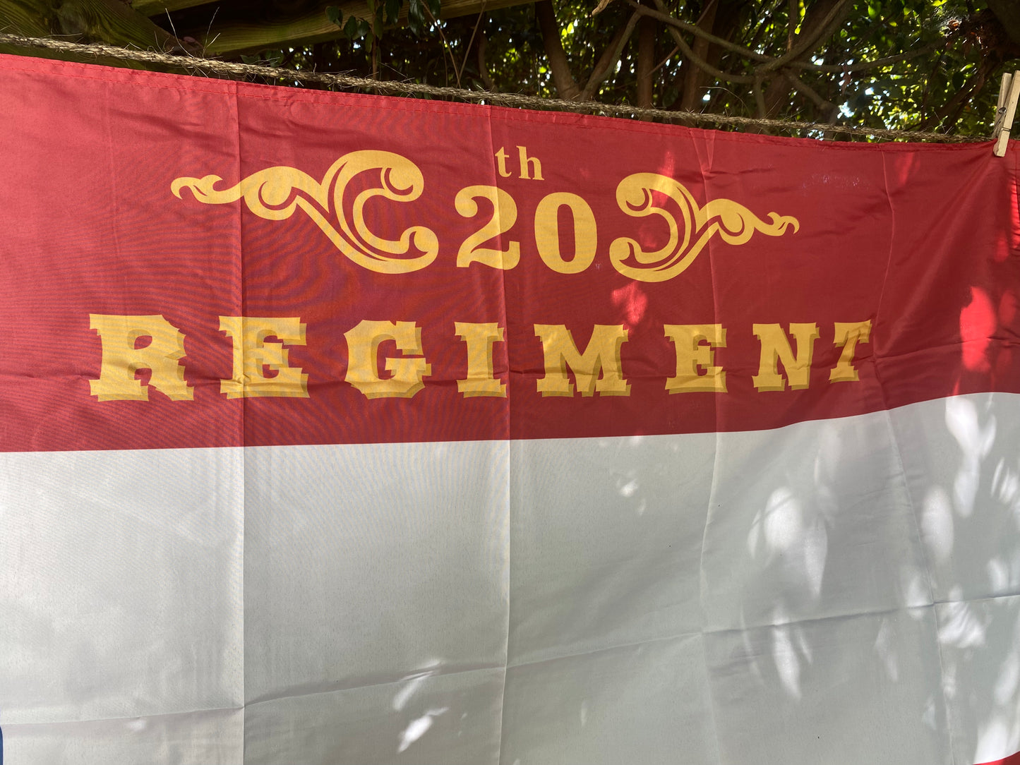 20th Texas Volunteers "Our Homes and Our Rights" House Flag