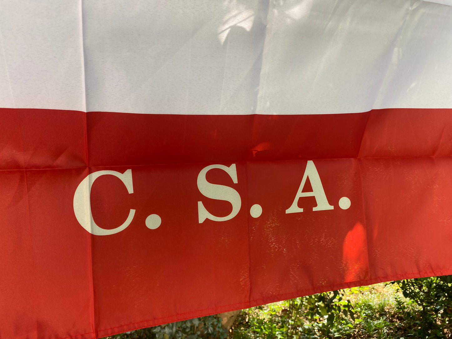 7th Georgia Infantry 1st National House Flag
