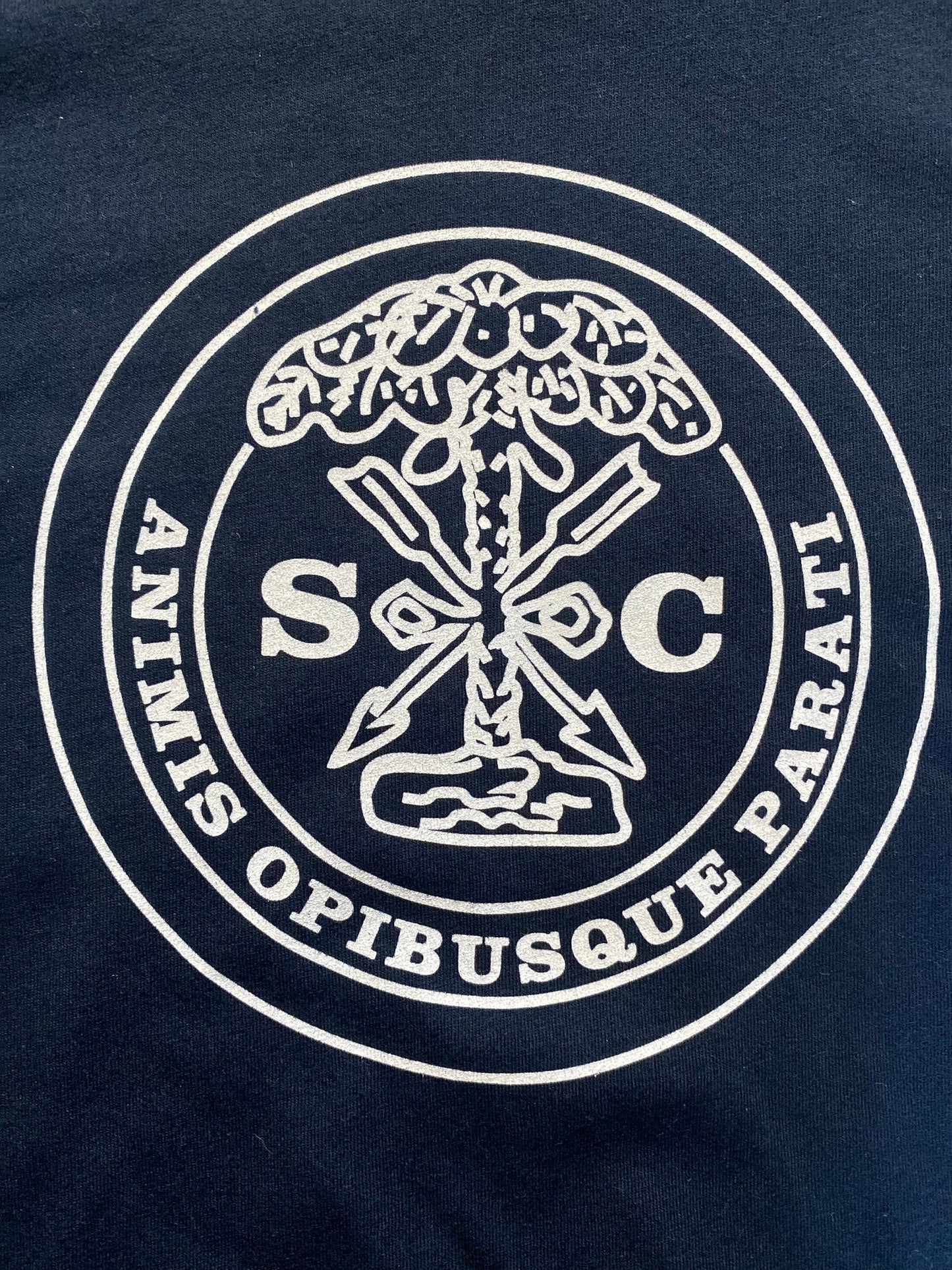 South Carolina Civil War State "Button" Blue T-Shirt