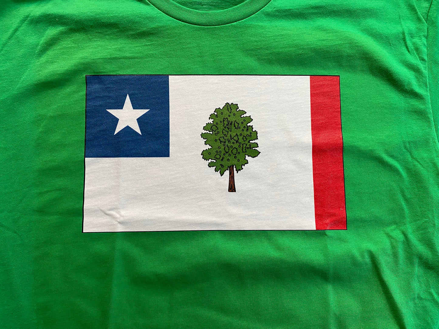 1861 Mississippi State Colors T-Shirt