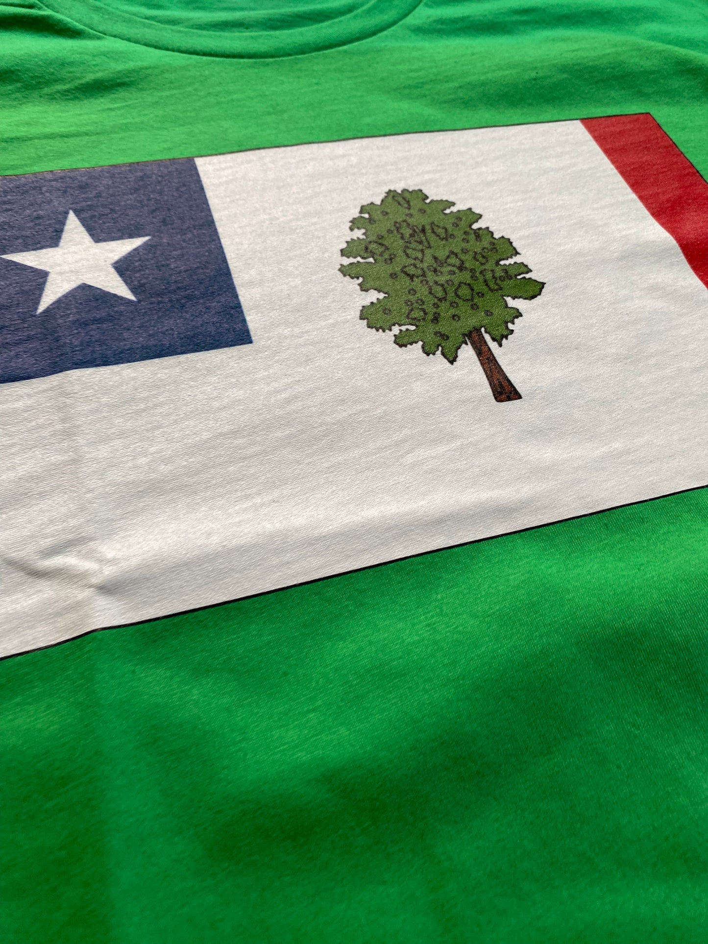 1861 Mississippi State Colors T-Shirt