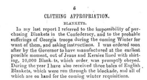Georgia State Issue Lined Blanket