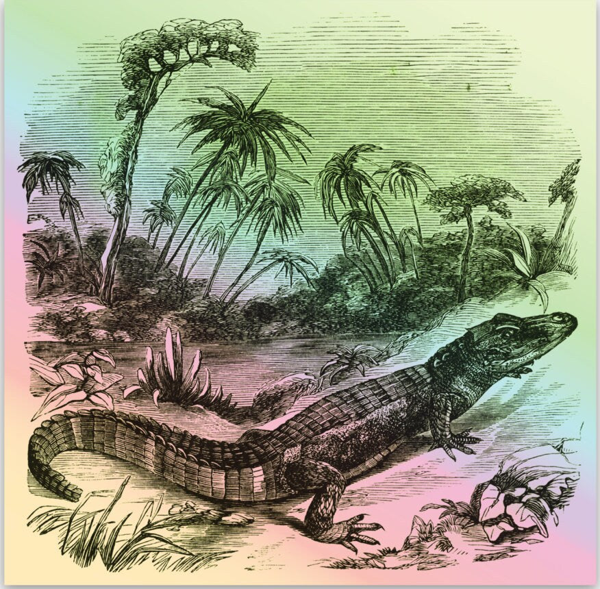 1859 Aligator - Holographic Sticker