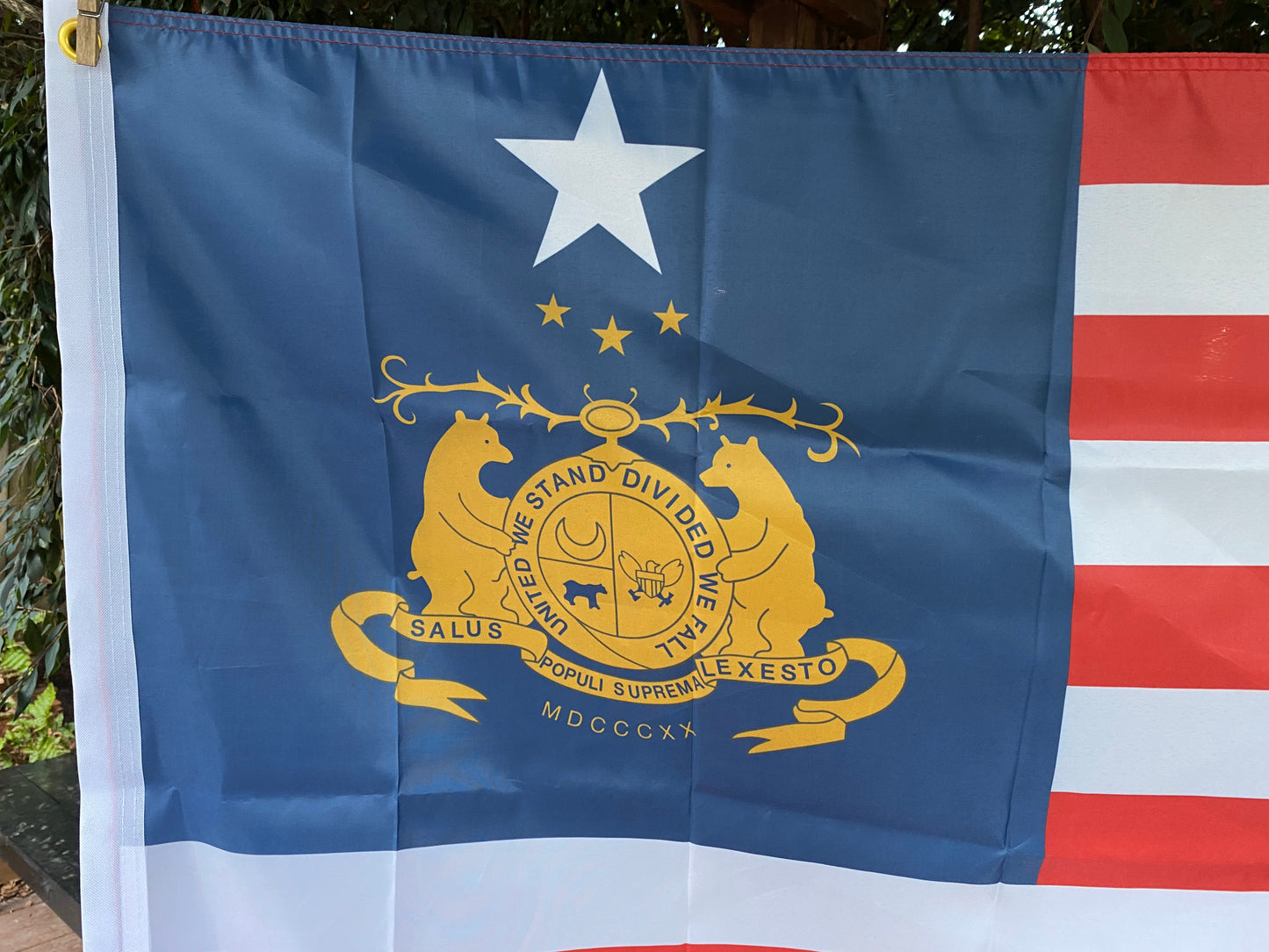 "St. Louis Courthouse Secession" House Flag