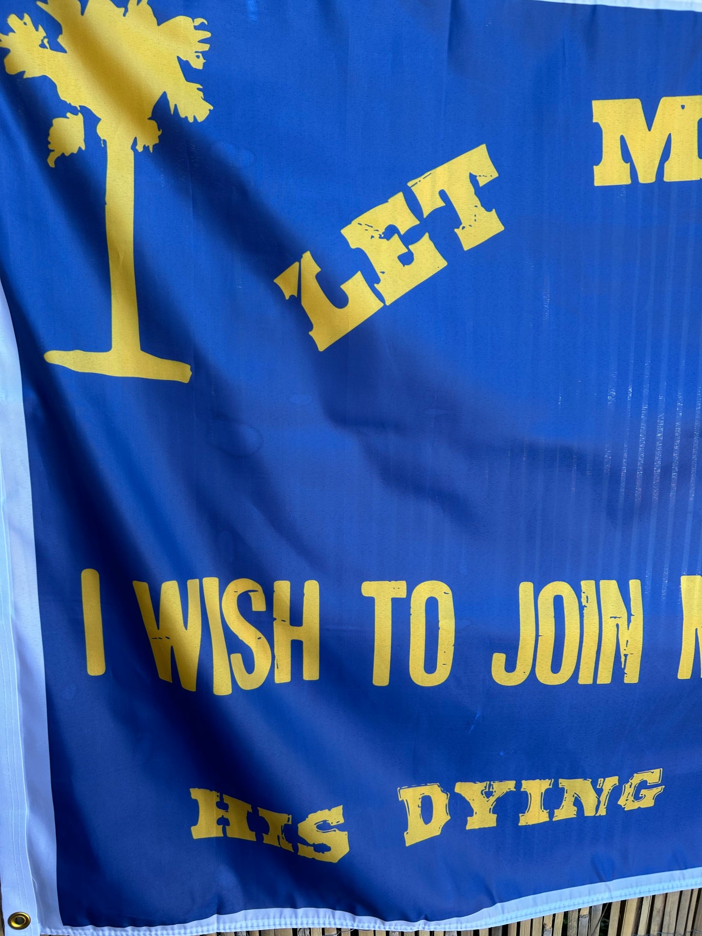 Greenville Ladies Aid Association Hospital Flag