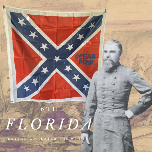 6th Florida Battalion Battle Flag House Flag